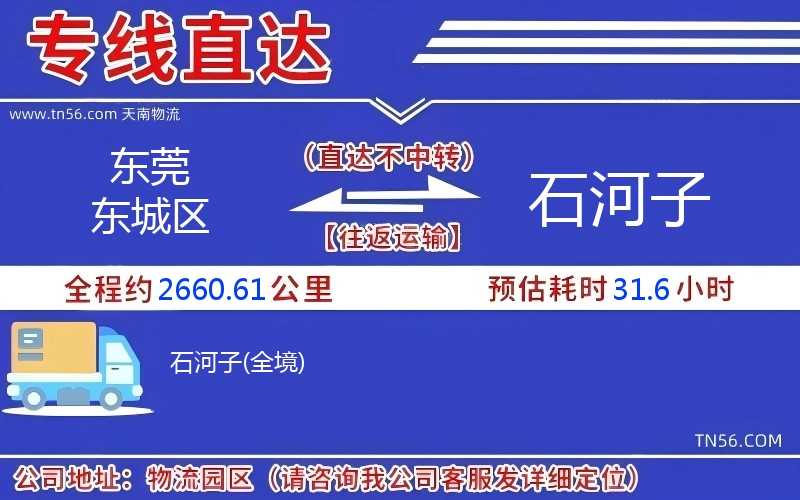 東莞東城區到石河子物流公司